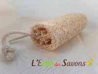 Éponge Luffa