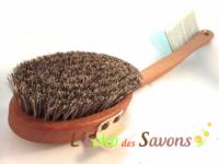 Brosse pour le corps à manche long