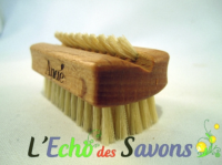 Brosse à ongle de voyage 