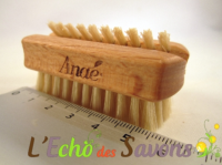 Brosse à ongle de voyage 